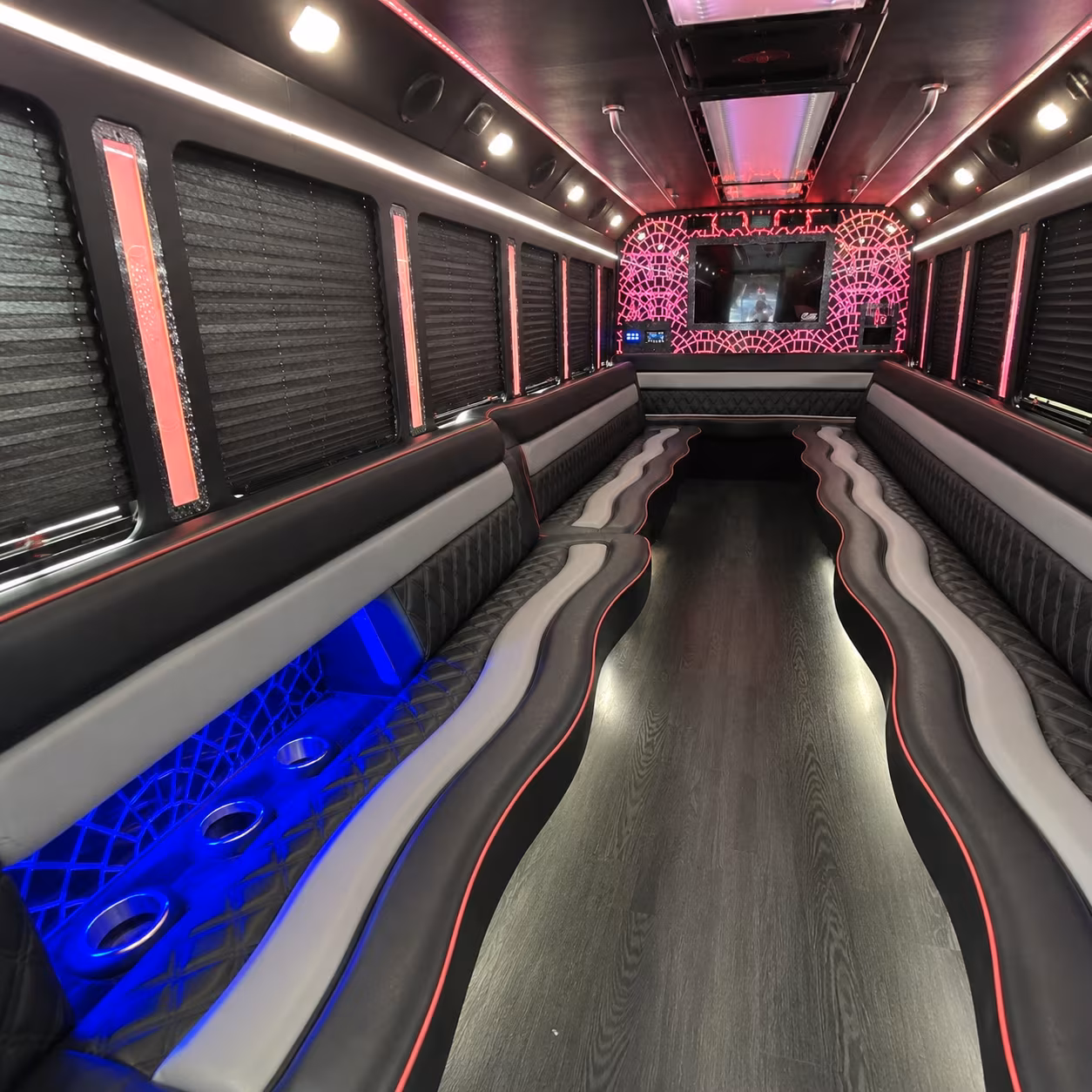 duluth party bus gallery